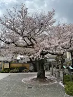 延台寺の写真・動画_image_421518
