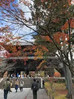 南禅寺の写真・動画_image_421578