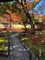 天龍寺の写真・動画_image_421611