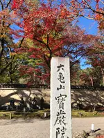 天龍寺の写真・動画_image_421614