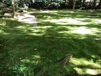 野宮神社の写真・動画_image_421616