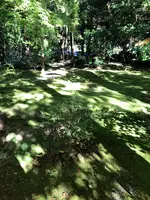 野宮神社の写真・動画_image_421617