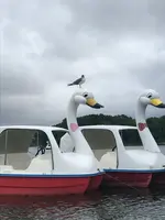 大濠公園 ボート乗り場の写真・動画_image_421630