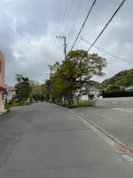 化粧坂の写真・動画_image_421631