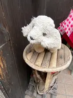 鉄輪豚まん本舗の写真・動画_image_421681
