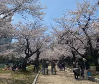 平和記念公園の写真・動画_image_421730