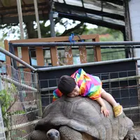 ネオパークオキナワの写真・動画_image_421779