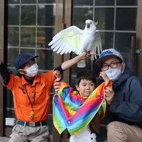 ネオパークオキナワの写真・動画_image_421783