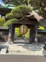 長谷寺の写真・動画_image_422071