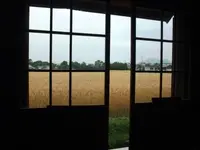 あやうた製麺の写真・動画_image_42216