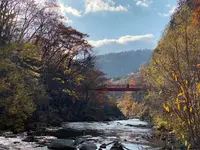 二見吊橋の写真・動画_image_422277