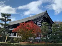 東福寺の写真・動画_image_422290