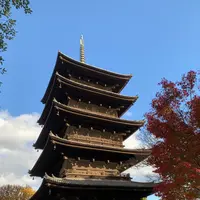 東寺（教王護国寺）の写真・動画_image_422304