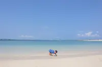 浜比嘉ビーチの写真・動画_image_422354