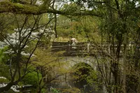 大谷本廟の写真・動画_image_422401