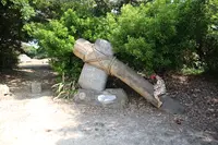 仲原遺跡の写真・動画_image_422413
