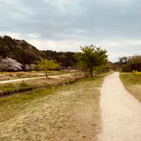 21世紀の森と広場 木もれ陽の森の写真・動画_image_422419