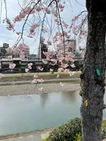 鴨川の写真・動画_image_422435