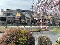 鴨川の写真・動画_image_422436