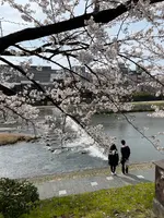 鴨川の写真・動画_image_422438