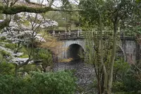 大谷本廟の写真・動画_image_422600