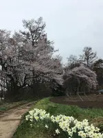 国営アルプスあづみの公園　堀金・穂高地区の写真・動画_image_422610