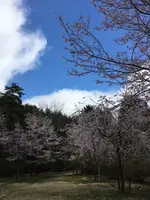 小岩嶽城跡の写真・動画_image_422617