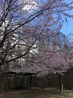 小岩嶽城跡の写真・動画_image_422618