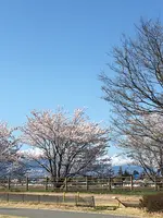 南部総合公園の写真・動画_image_422742