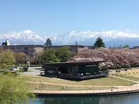 スターバックスコーヒー 富山環水公園店（STARBUCKS COFFEE）の写真・動画_image_422760