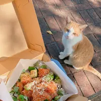 スタジオ シー okinawaの写真・動画_image_422812