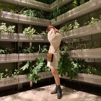 GINZA SIX ガーデンの写真・動画_image_423274