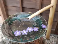 京都けやき堂の写真・動画_image_423348