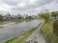 鴨川の写真・動画_image_423353