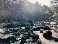 西の河原公園の写真・動画_image_423714