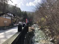 西の河原公園の写真・動画_image_423715