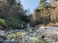 西の河原公園の写真・動画_image_423717