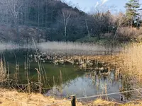鬼の相撲場碑の写真・動画_image_423725
