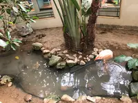 草津熱帯圏の写真・動画_image_423743