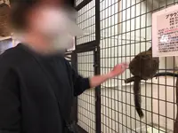 草津熱帯圏の写真・動画_image_423747