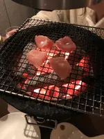 炭火焼く鳥　ソリレスの写真・動画_image_423769