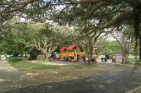 新都心公園の写真・動画_image_423898