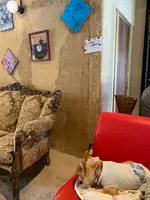カフェ・ドゥ・パンの写真・動画_image_423995