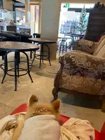 カフェ・ドゥ・パンの写真・動画_image_423996