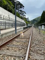 餘部駅の写真・動画_image_424043