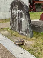 餘部駅の写真・動画_image_424044