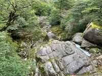 さつき吊橋の写真・動画_image_424112