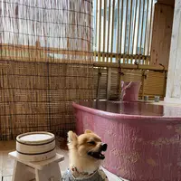 朝野家の写真・動画_image_424158