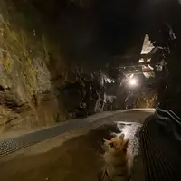 生野銀山の写真・動画_image_424367