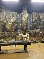 生野銀山の写真・動画_image_424372